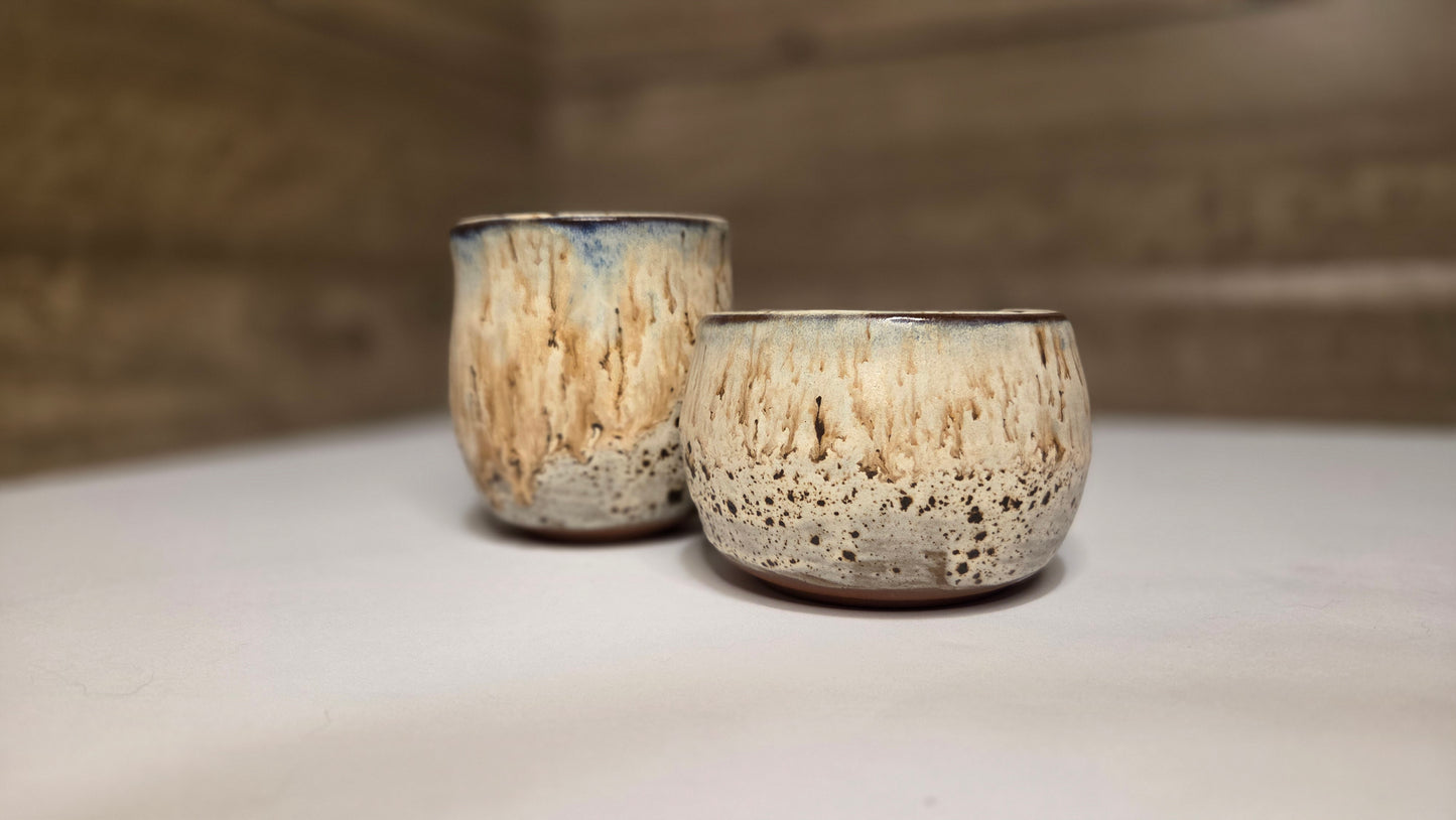 Speckled Pot Set